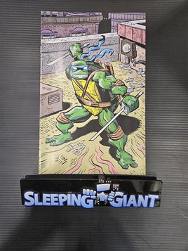 TMNT #145 JIM LAWSON IDW VIRGIN VARIANT