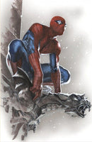 Amazing Spider-Man #33 (2023) Virgin & Trade Set Gabriele Dell'Otto