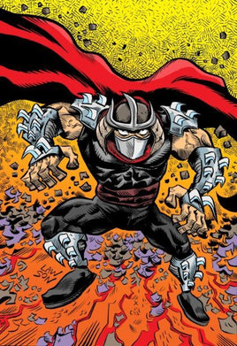 TMNT #147 JIM LAWSON CBNS VIRGIN VARIANT