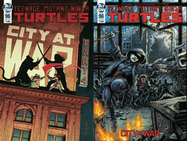 TEENAGE MUTANT NINJA TURTLES #96 FULL SET (Covers A & B) ***RED HOT*** - Mutant Beaver Comics